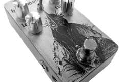 534611364_18109240876548328_5788475196649897486_n